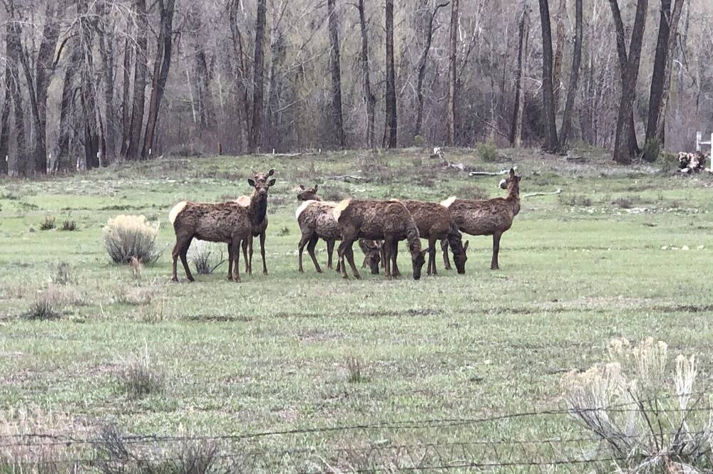 Photo of Outdoor in Lake City