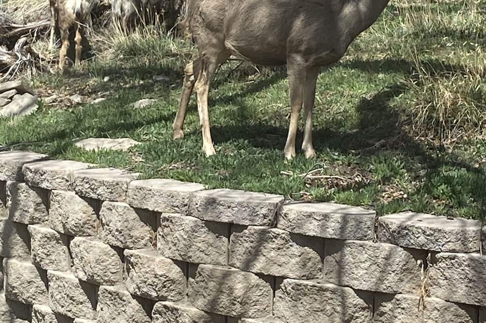 Photo of Outdoor in New Castle