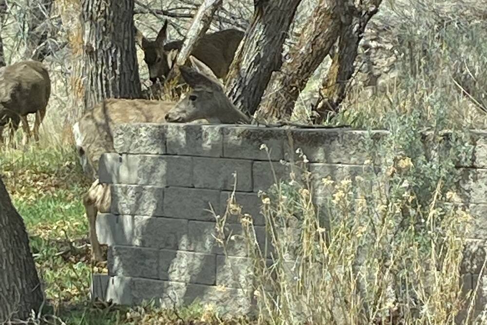 Photo of Outdoor in New Castle
