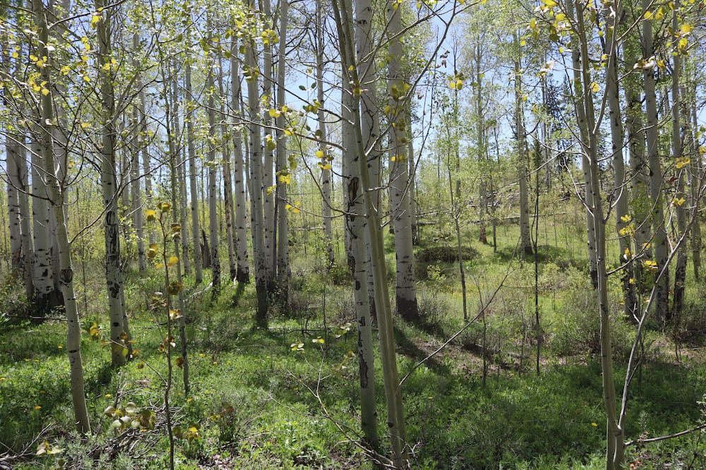 Photo of Outdoor in Kremmling