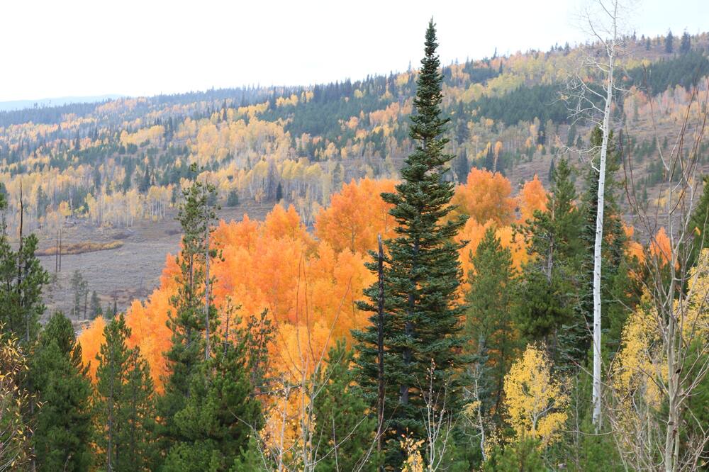 Photo of Outdoor in Kremmling
