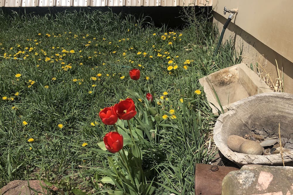 Photo of Outdoor in Rye