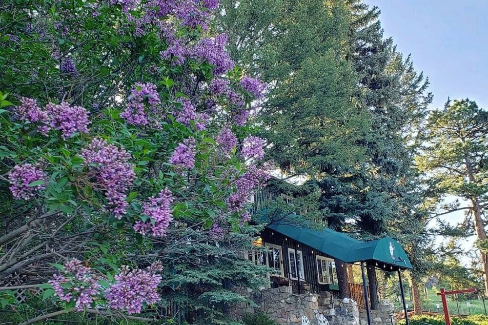Photo of Outdoor in Evergreen Meadows