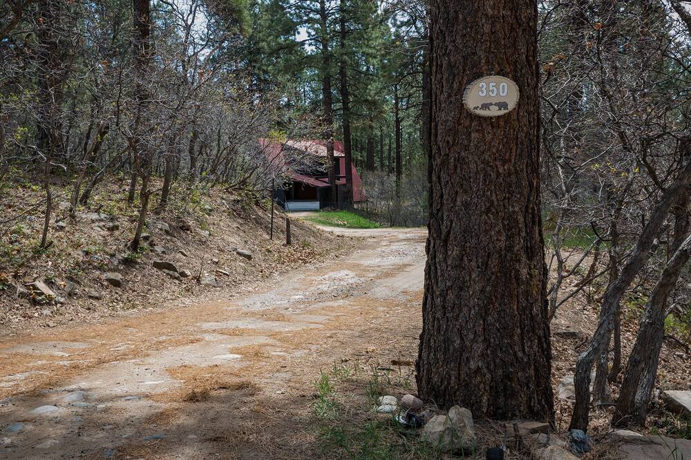 Photo of Others in Forest Lakes