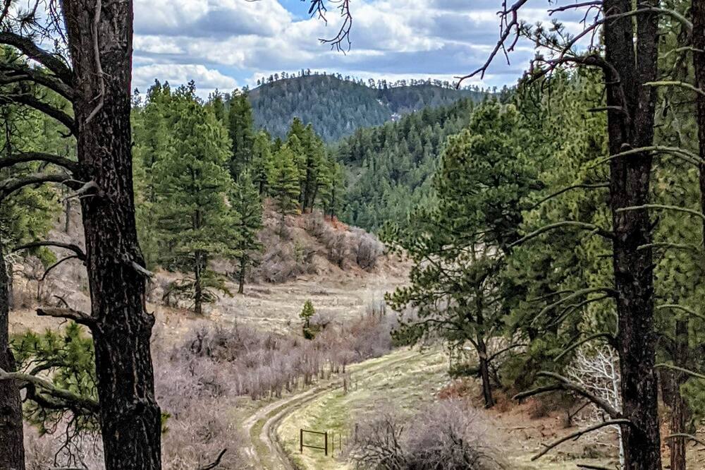 Photo of Others in Forest Lakes