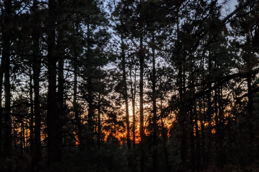 Photo of Others in Forest Lakes