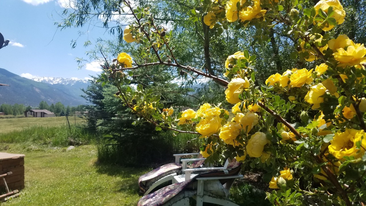 Photo of Outdoor in Solar Ranch