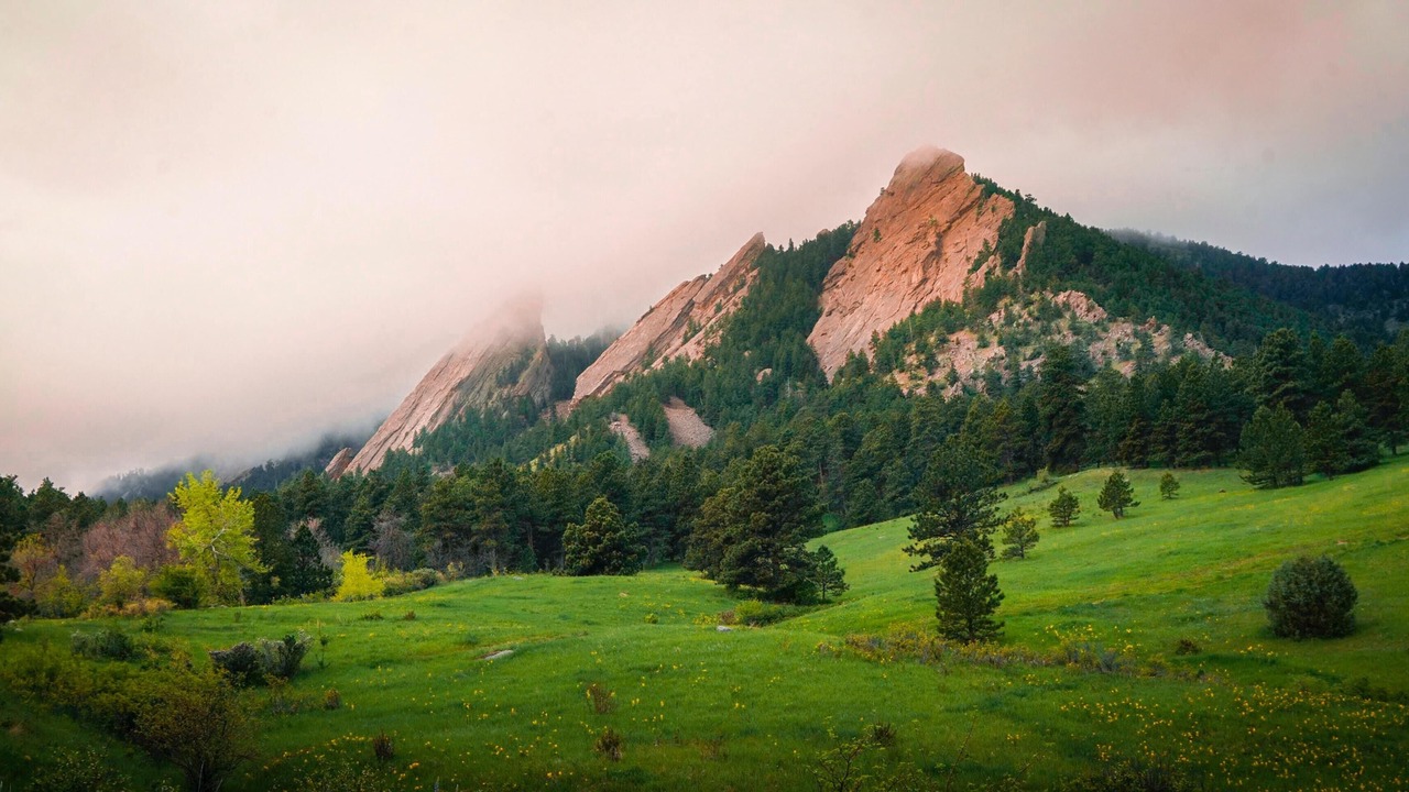 Photo of Outdoor in Newlands
