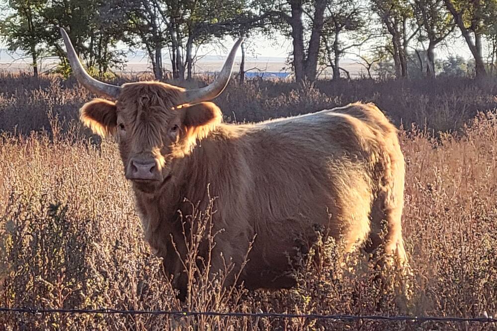 Photo of Others in Crowley County