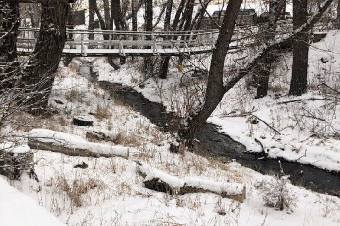 Photo of Outdoor in Golden