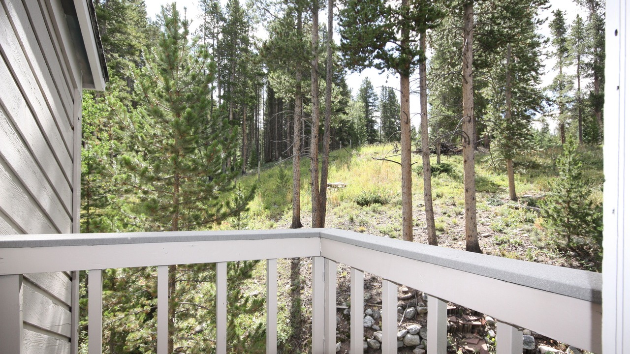 Photo of Outdoor in Warrior's Mark