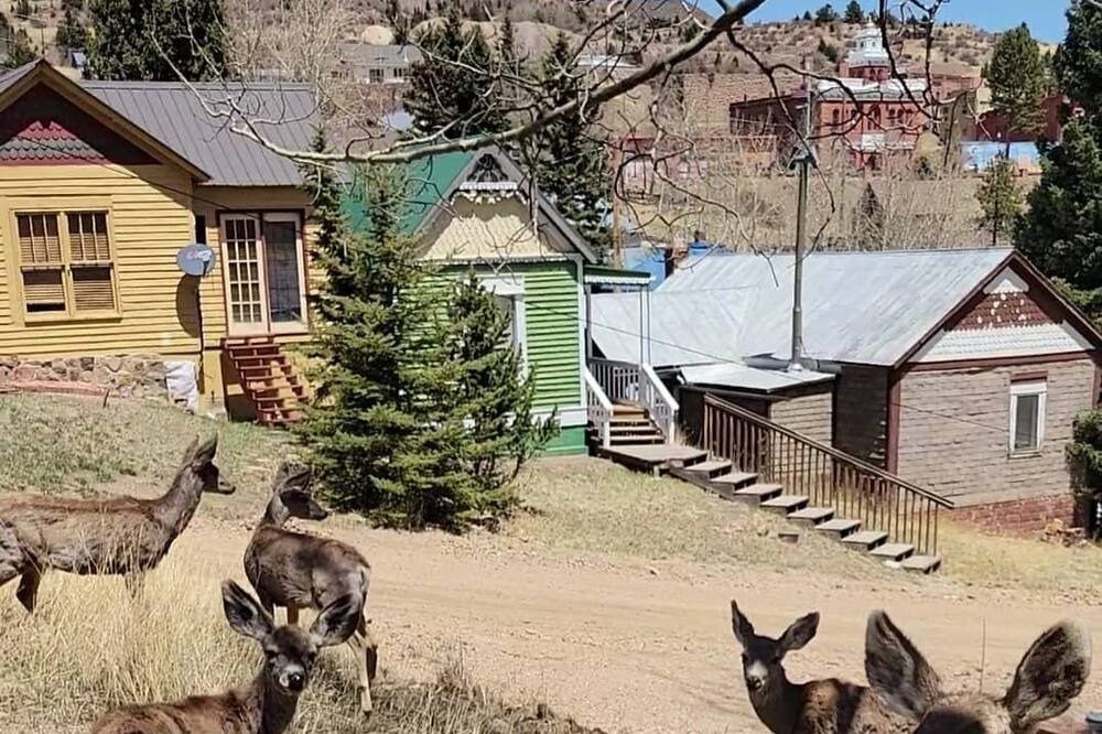 Photo of Outdoor in Victor