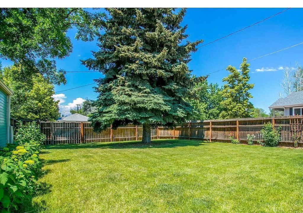 Photo of Outdoor in Loveland