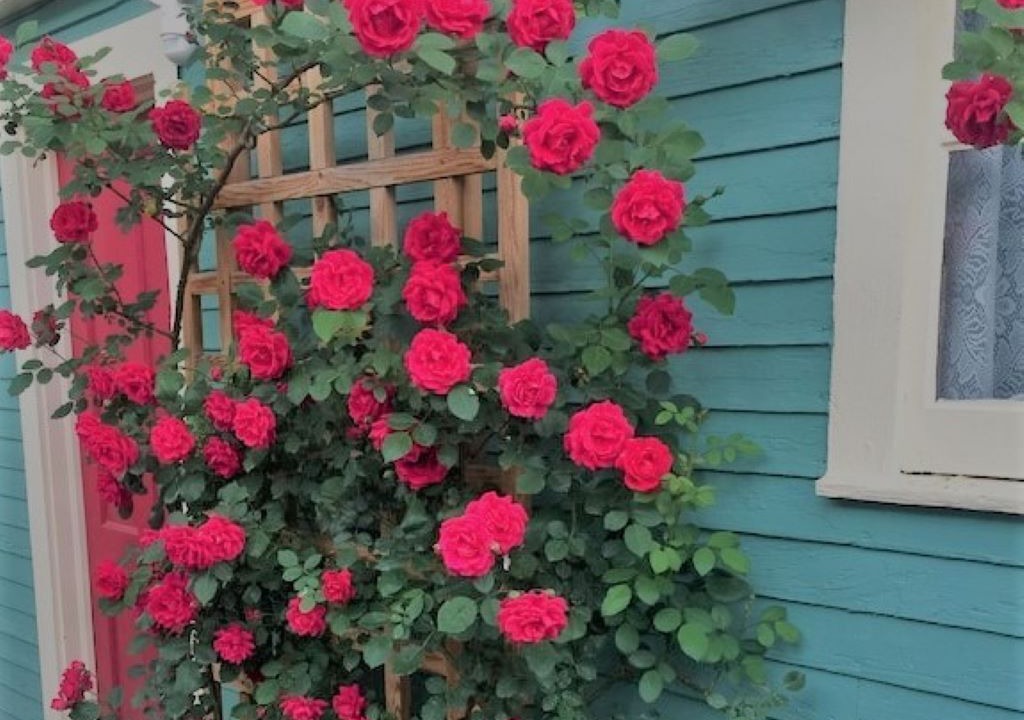 Photo of Outdoor in Loveland