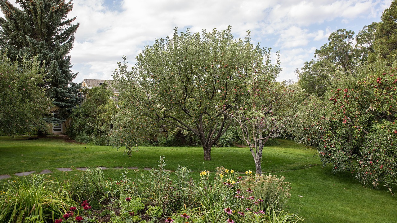 Photo of Outdoor in Hesperus
