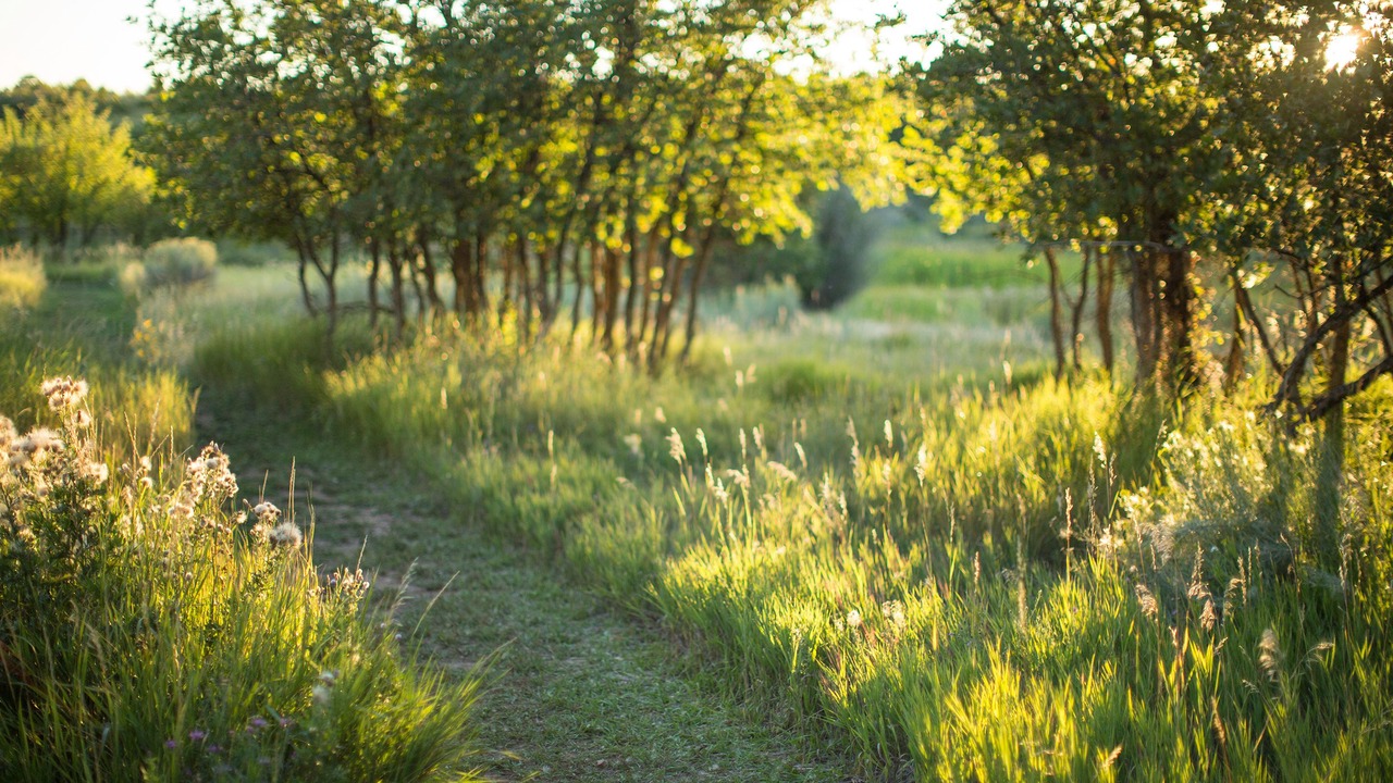 Photo of Outdoor in Hesperus