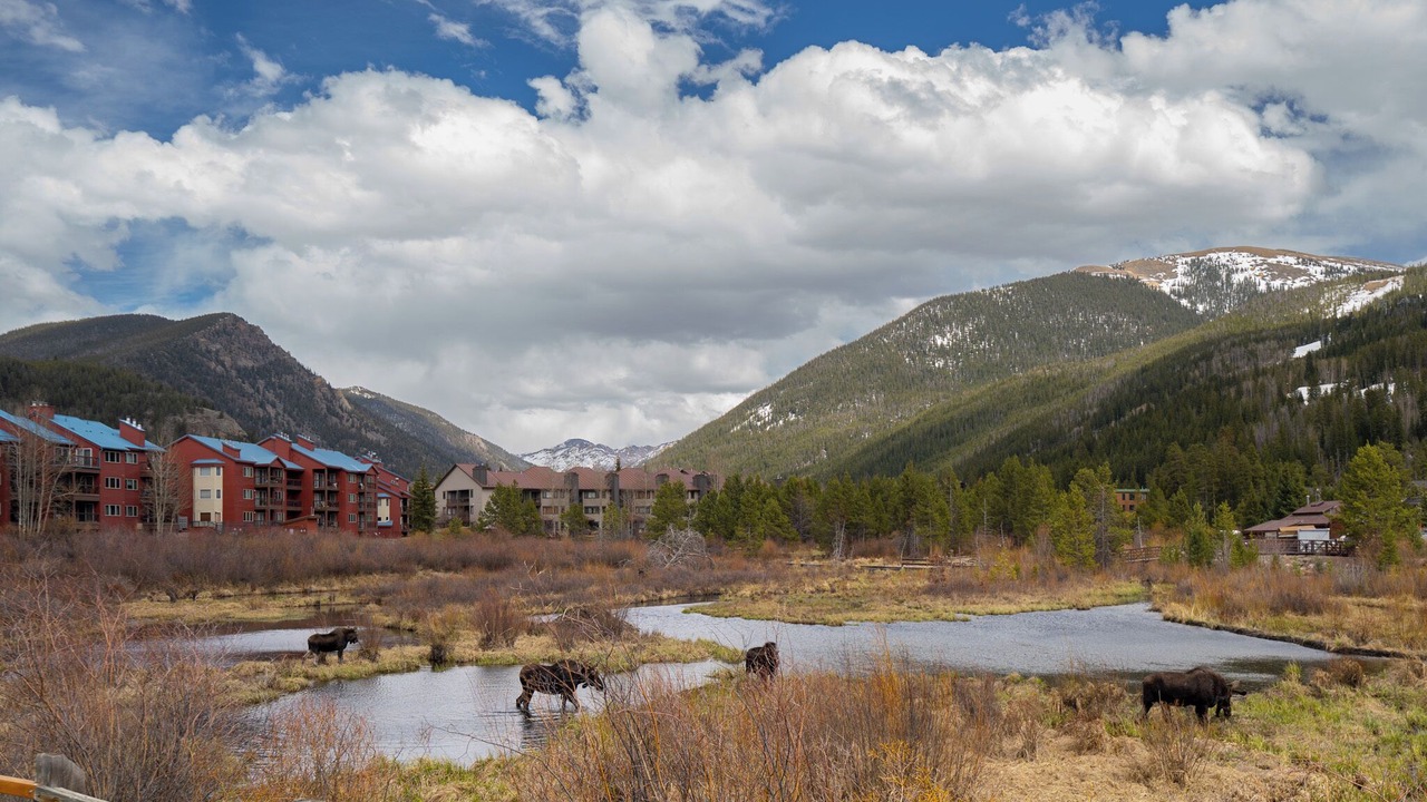 Photo of Outdoor in Mountain House