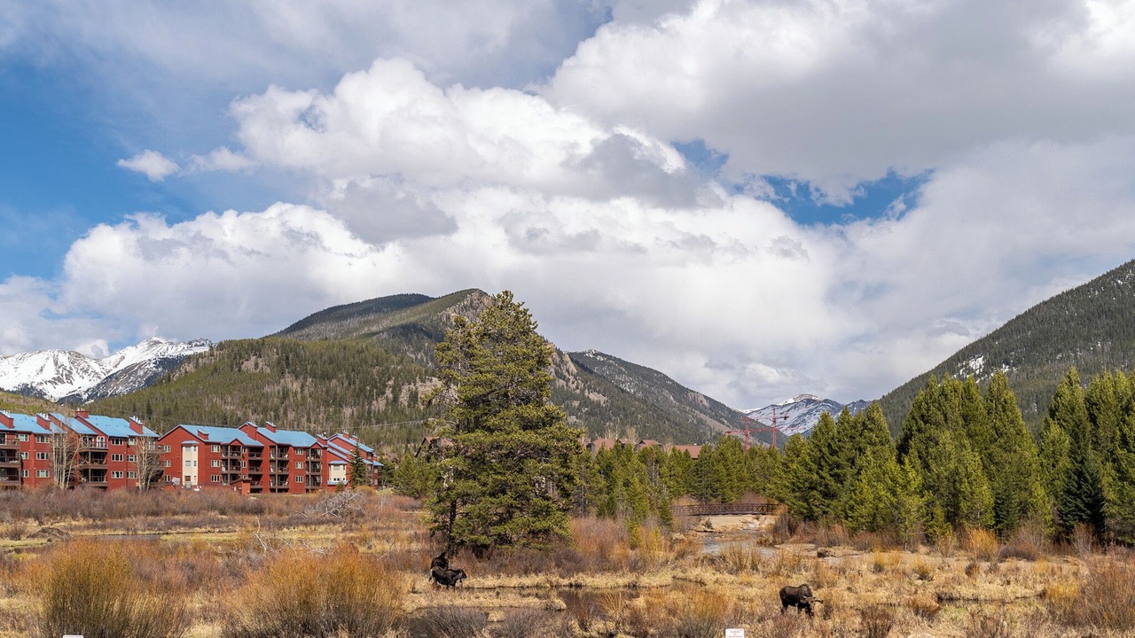Photo of Outdoor in Mountain House