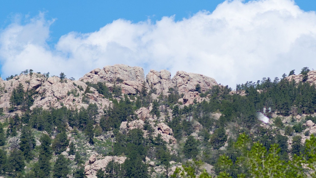 Photo of Others in Fort Collins