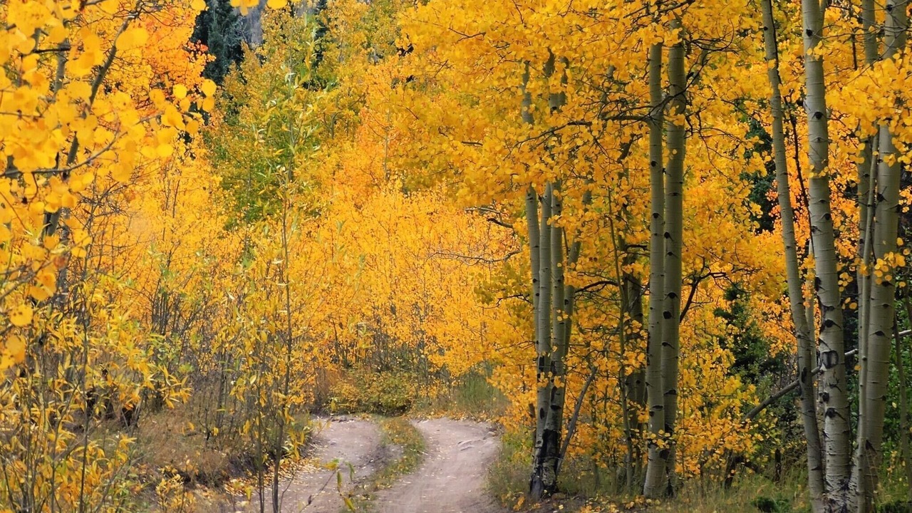 Photo of Outdoor in La Veta