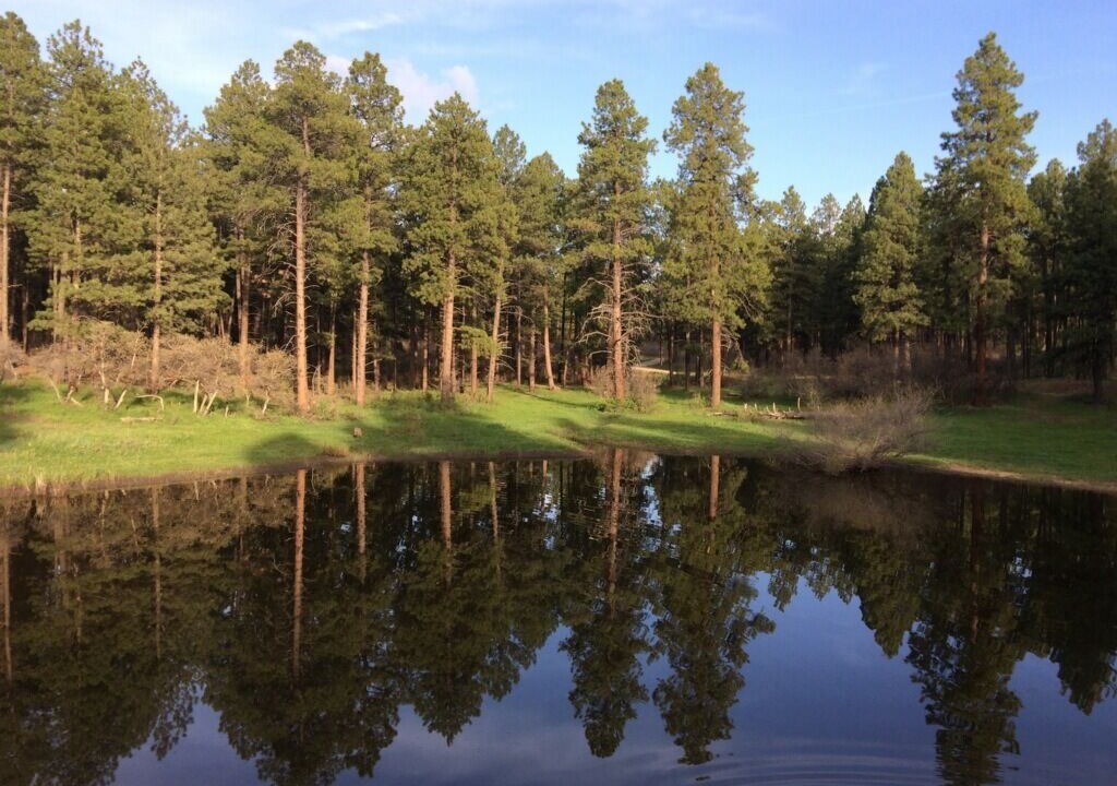 Photo of Outdoor in Lewis