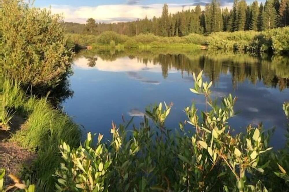 Photo of Others in Crystal Lake