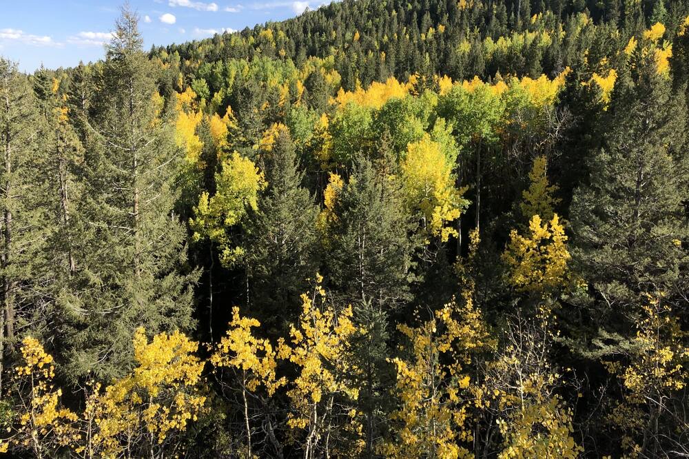 Photo of Outdoor in Shadow Mountain