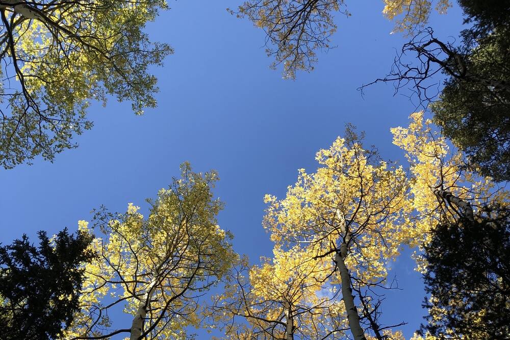 Photo of Outdoor in Shadow Mountain