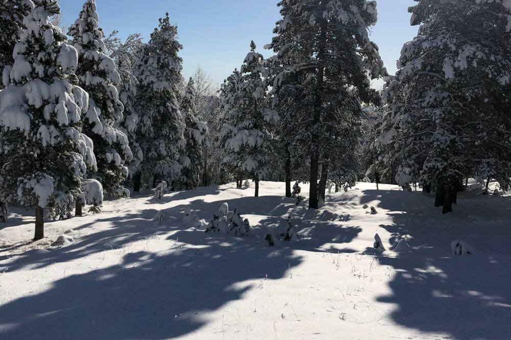 Photo of Others in Shadow Mountain