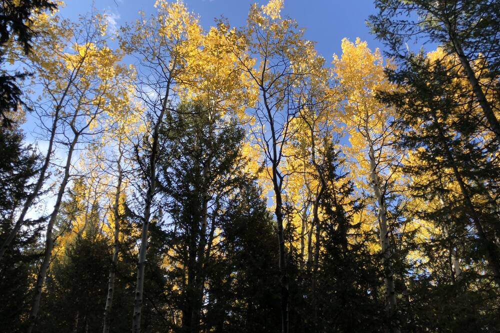Photo of Outdoor in Shadow Mountain