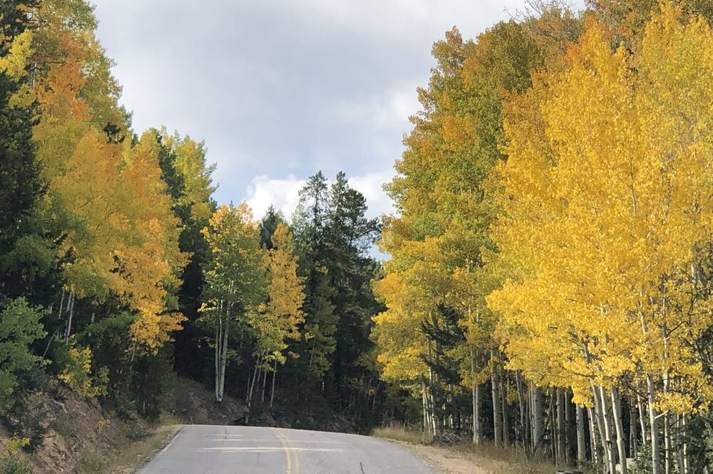 Photo of Others in Shadow Mountain
