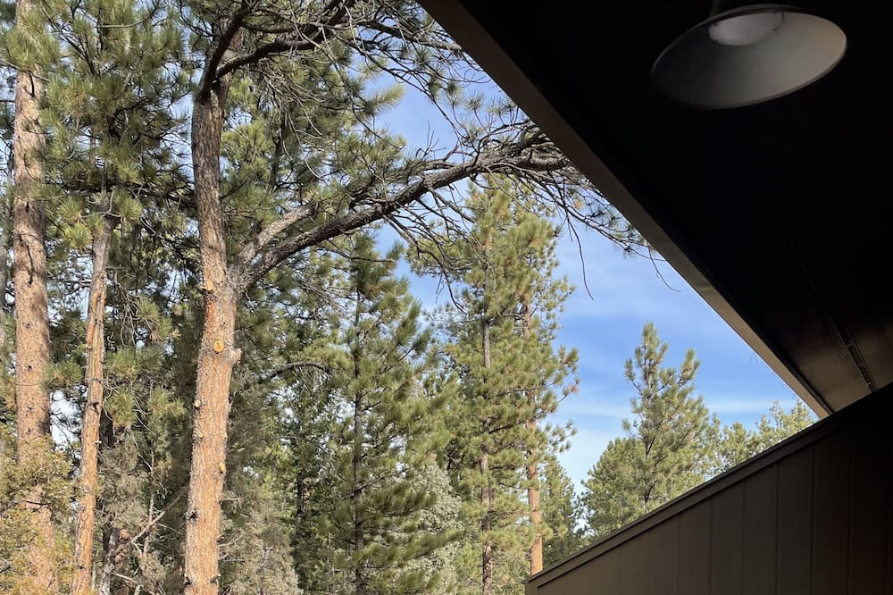 Photo of Patio Balcony in Red Feather Lakes