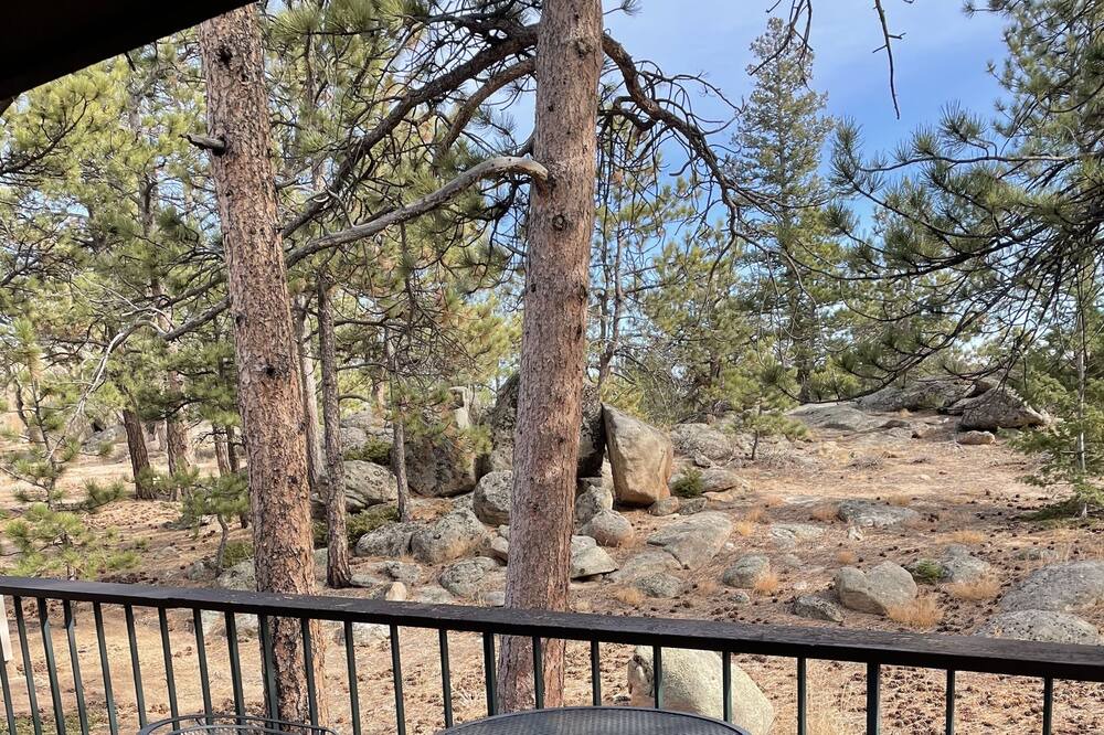 Photo of Patio Balcony in Red Feather Lakes