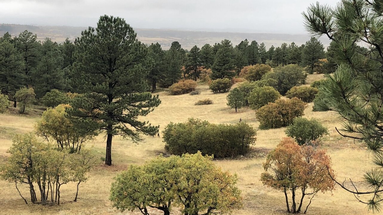 Photo of Outdoor in Franktown