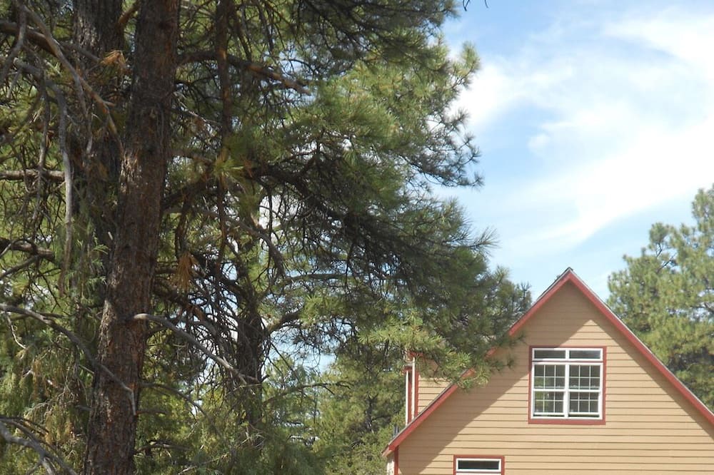 Photo of Outdoor in Durango - Purgatory