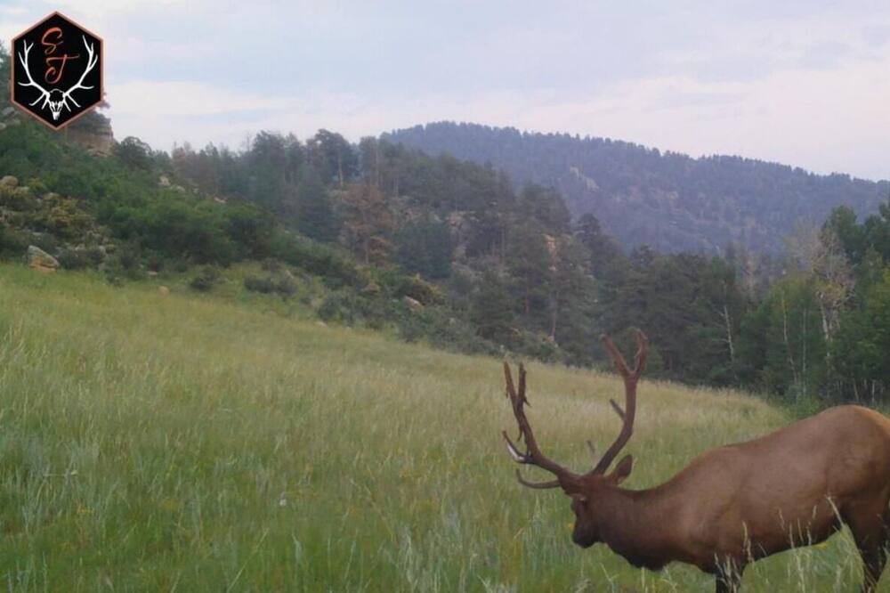 Photo of Outdoor in Park County