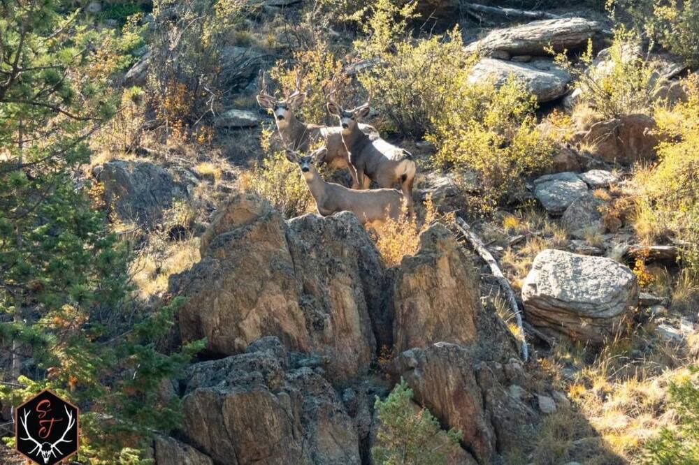 Photo of Outdoor in Park County