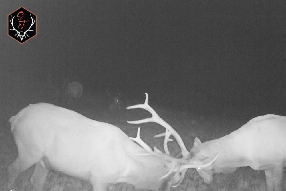Photo of Others in Park County