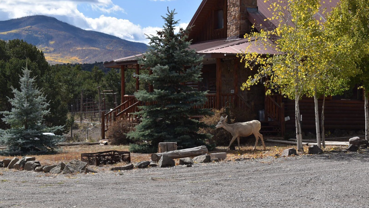 Photo of Outdoor in Alpine Village