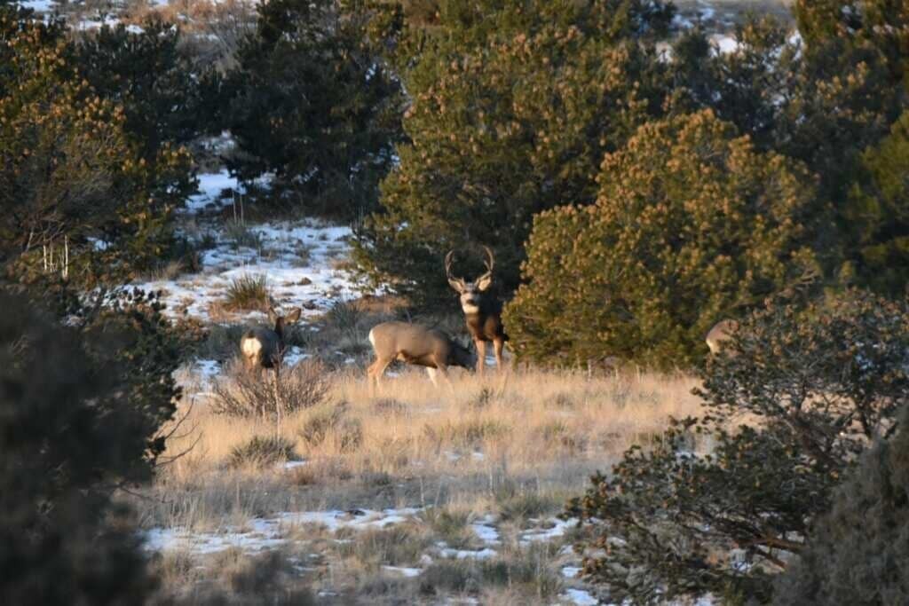 Photo of Others in Alpine Village