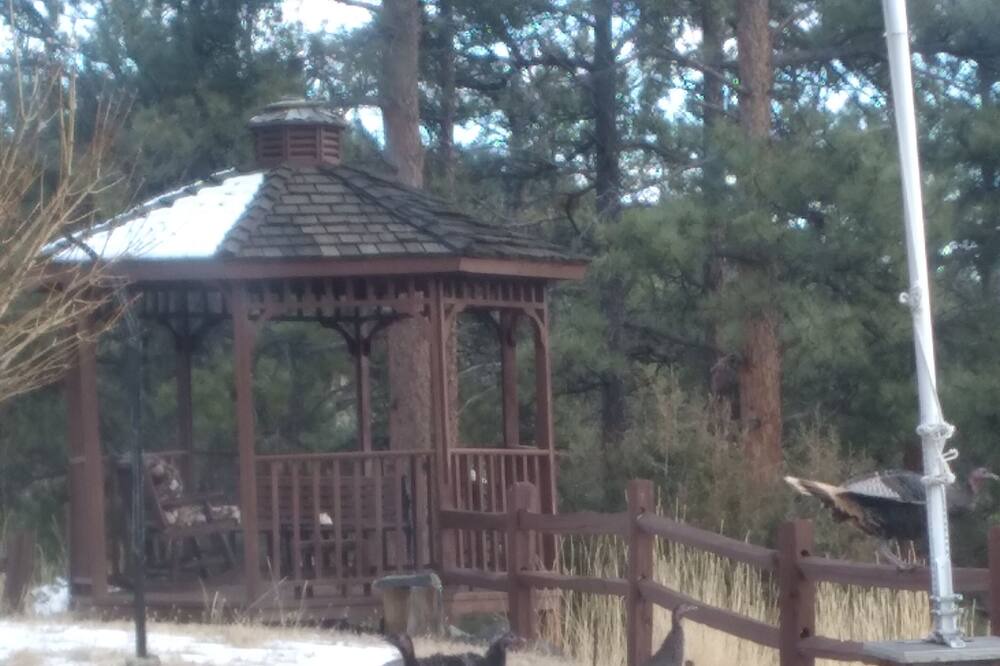 Photo of Others in Bailey