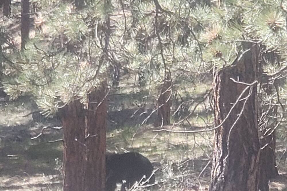 Photo of Others in Bailey