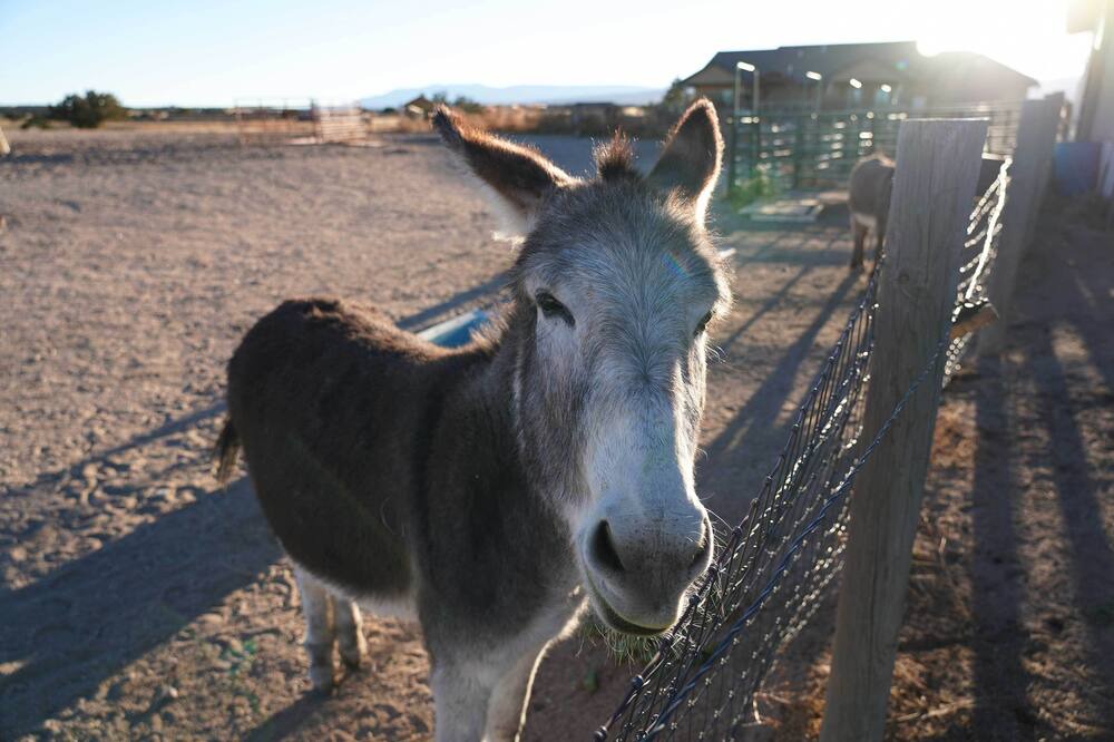 Photo of Others in Pueblo