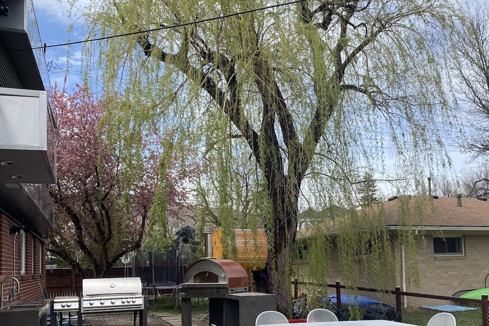 Photo of Others in Old North Boulder