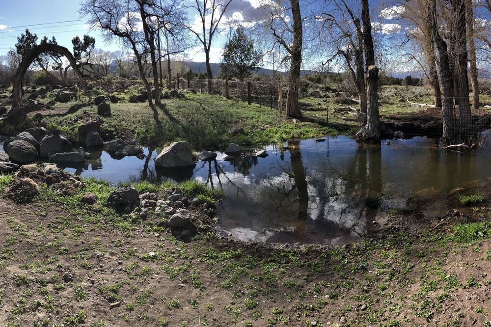 Photo of Outdoor in Mesa
