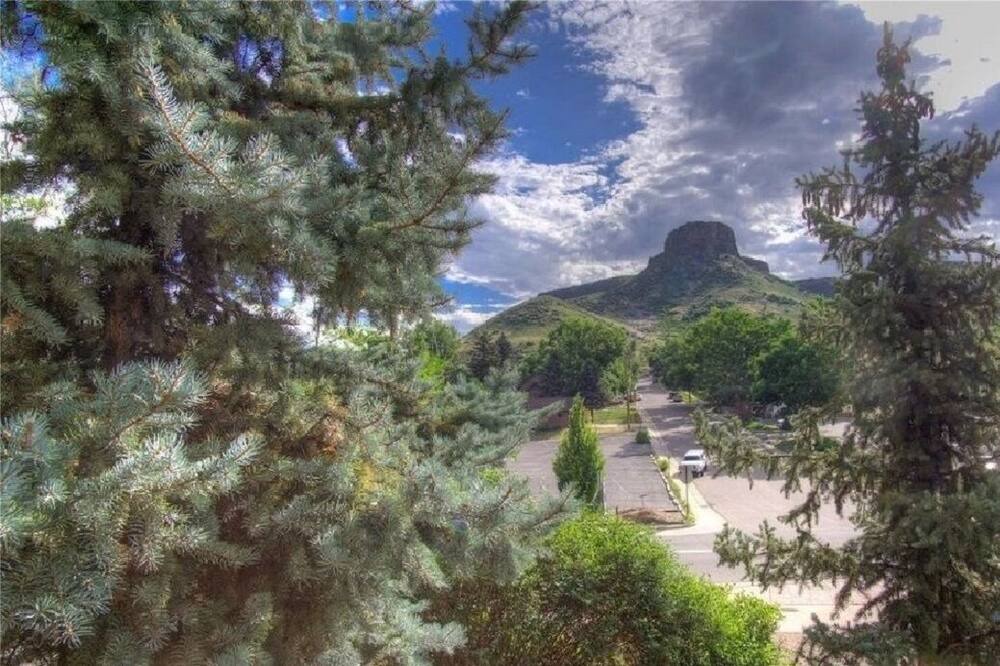 Photo of Outdoor in Golden