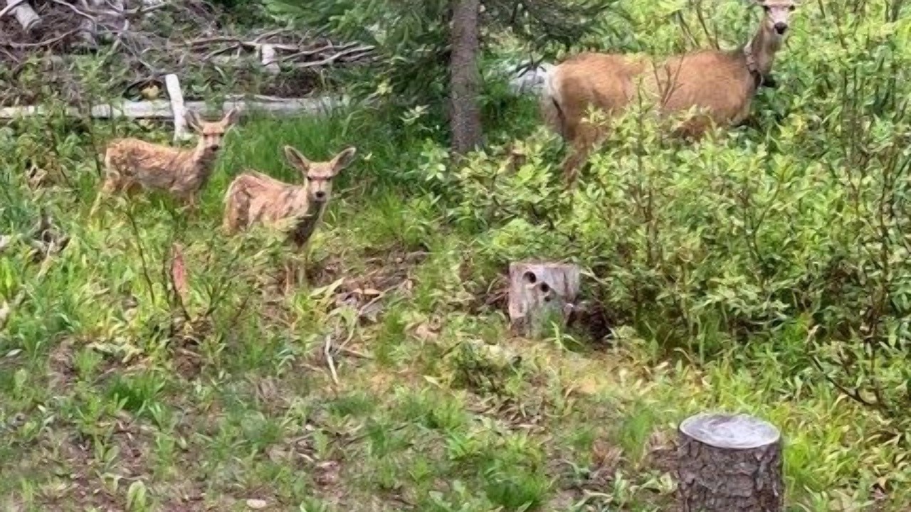 Photo of Others in Breckenridge