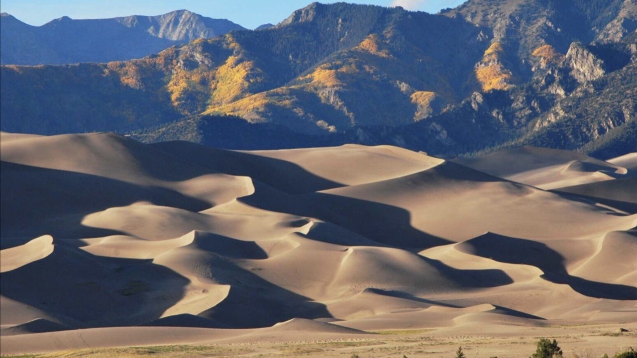 Photo of Others in Alamosa