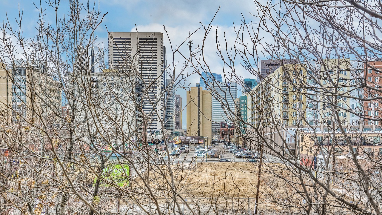 Photo of Outdoor in Ballpark
