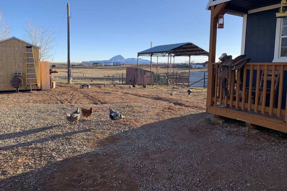 Photo of Outdoor in Lewis